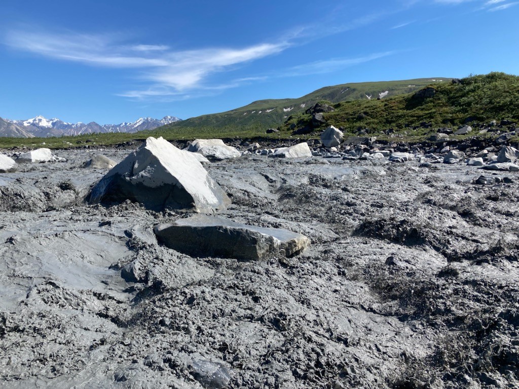 National Park Service Muldrow Surge